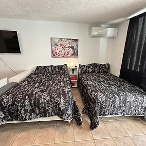 https://beachfront-studio-apt-w-full-kitchen-pool.top-hotels-puertorico.com